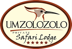 umzolozolo logo